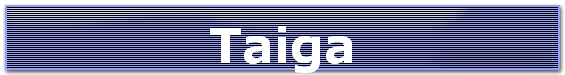 Taiga